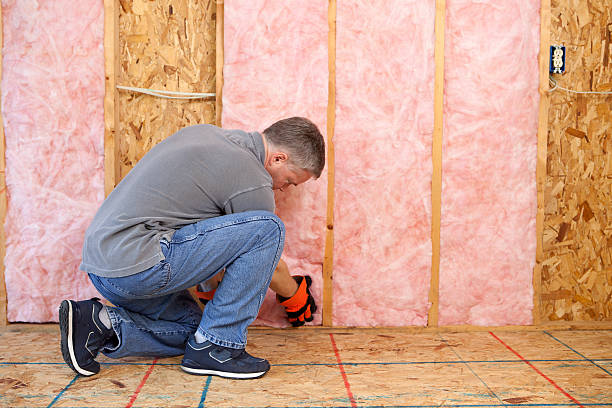 Best DIY Insulation Kits and Guidance in Ridgefield Park, NJ